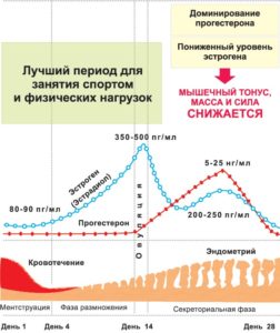 Эстрогены в спорте