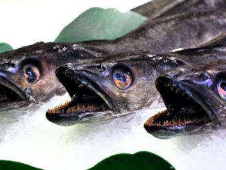Ртуть в рыбе