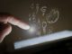 Бактерии в макдональдсе